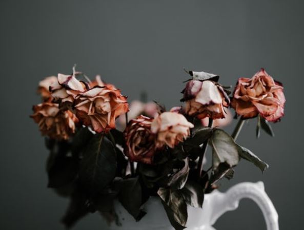 Grief in the Workplace - /data/1203697542.JPG