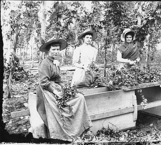 Recent event No 6732