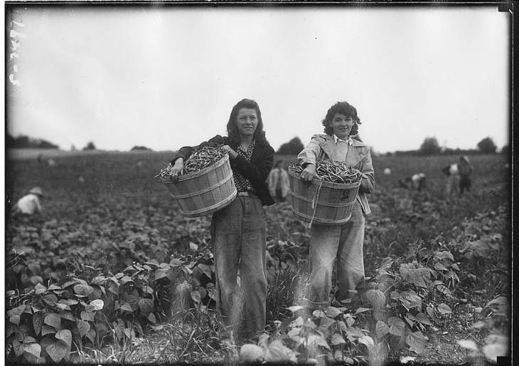 Recent event No 6732