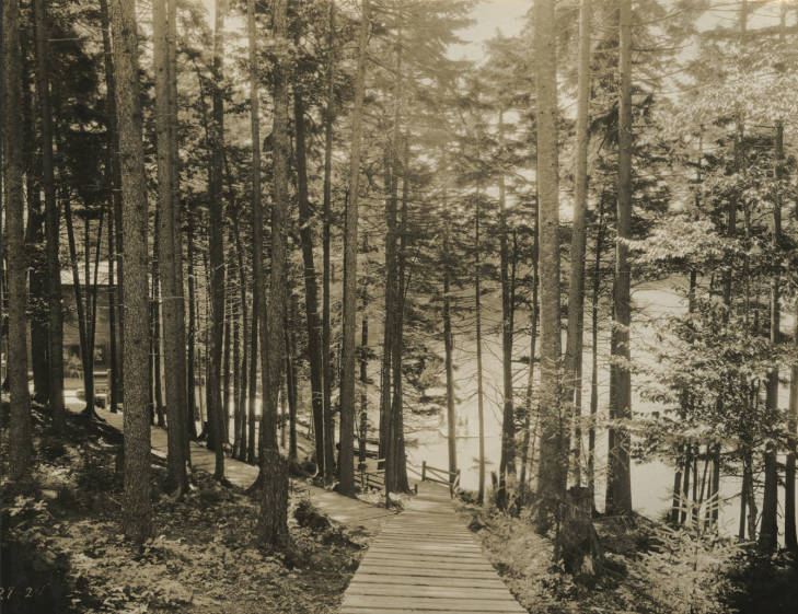 Recent event No 6732