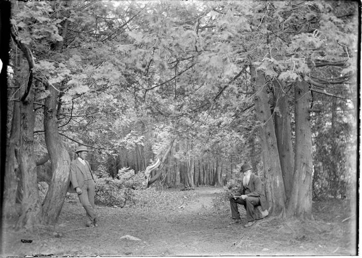 Recent event No 6732