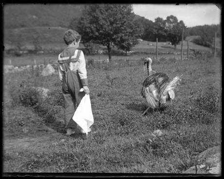 Recent event No 6732