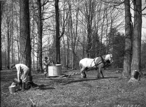 Recent event No 6732