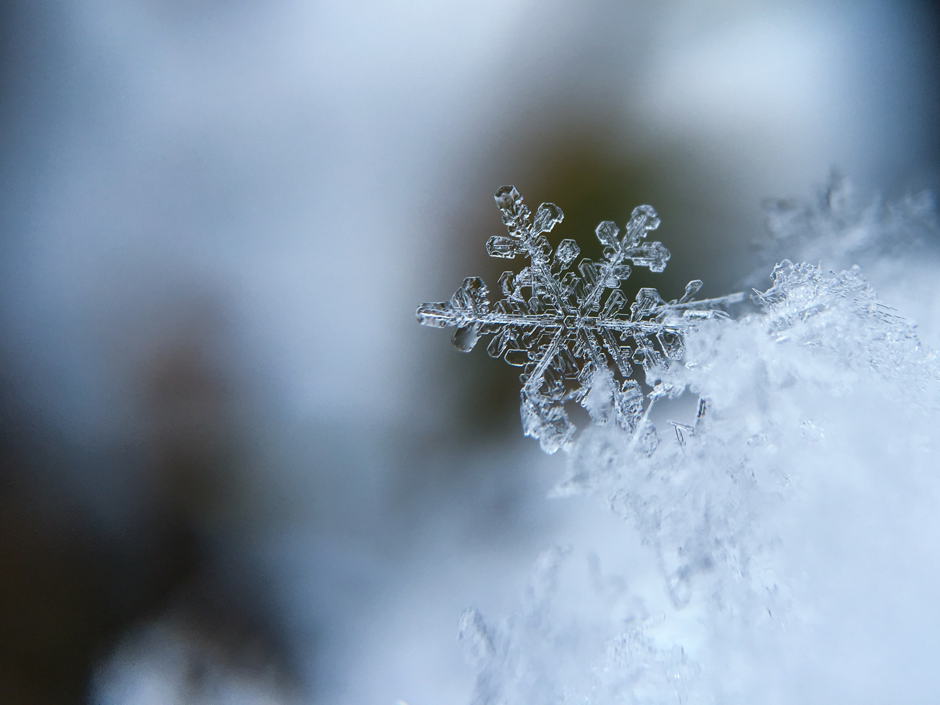 Just the Winter Blues? Facts and Myths about Seasonal Affective Disorder - /data/523445011.jpg