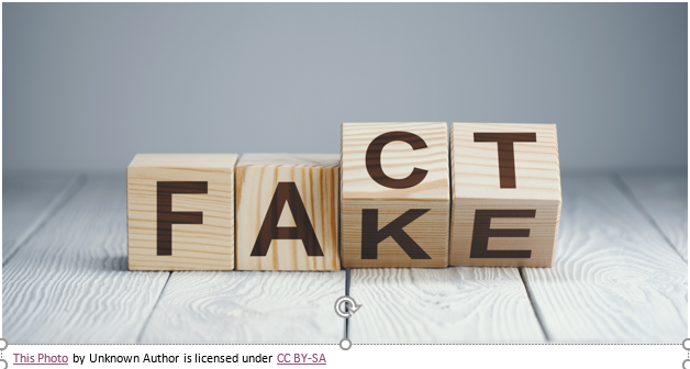 Libraries Addressing Health Information and Disinformation - /data/658177416f049.png