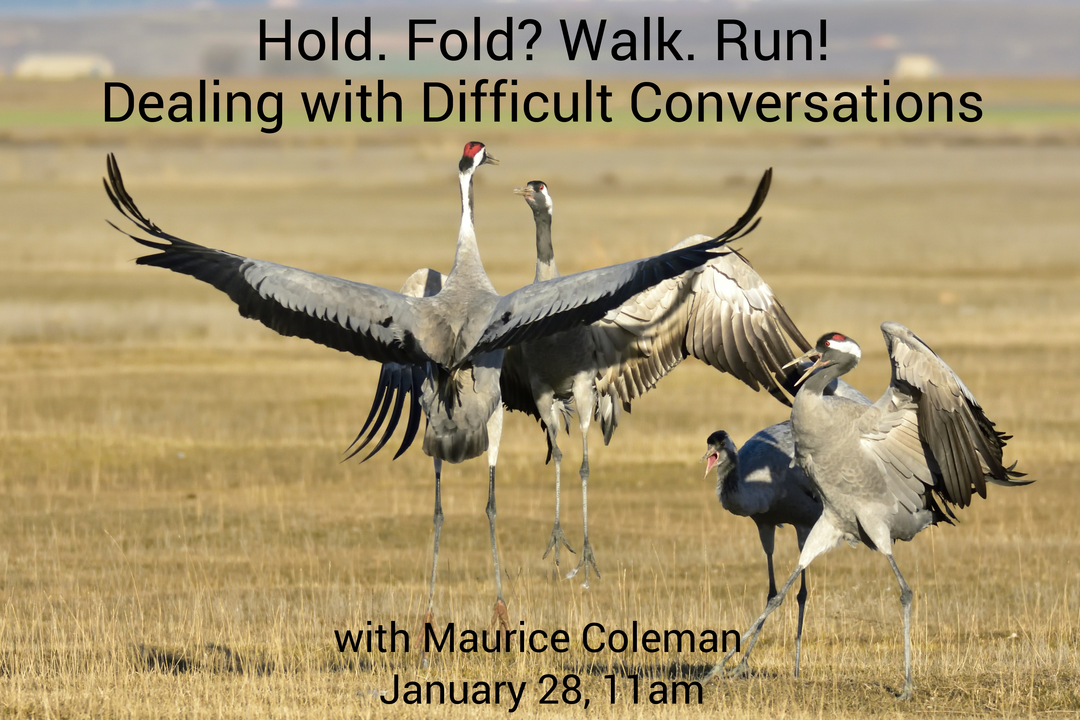 Hold. Fold? Walk. Run! Dealing with Difficult Conversations - /data/6761ca22d10b7.jpg