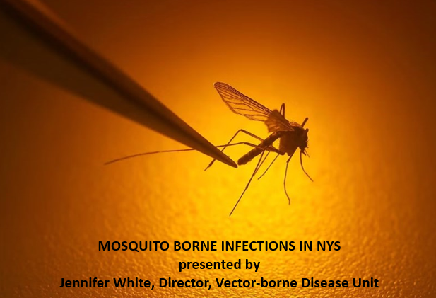 Lunch & Learn: Mosquito-borne Infections in NYS - /data/67efe7267c1dd.png
