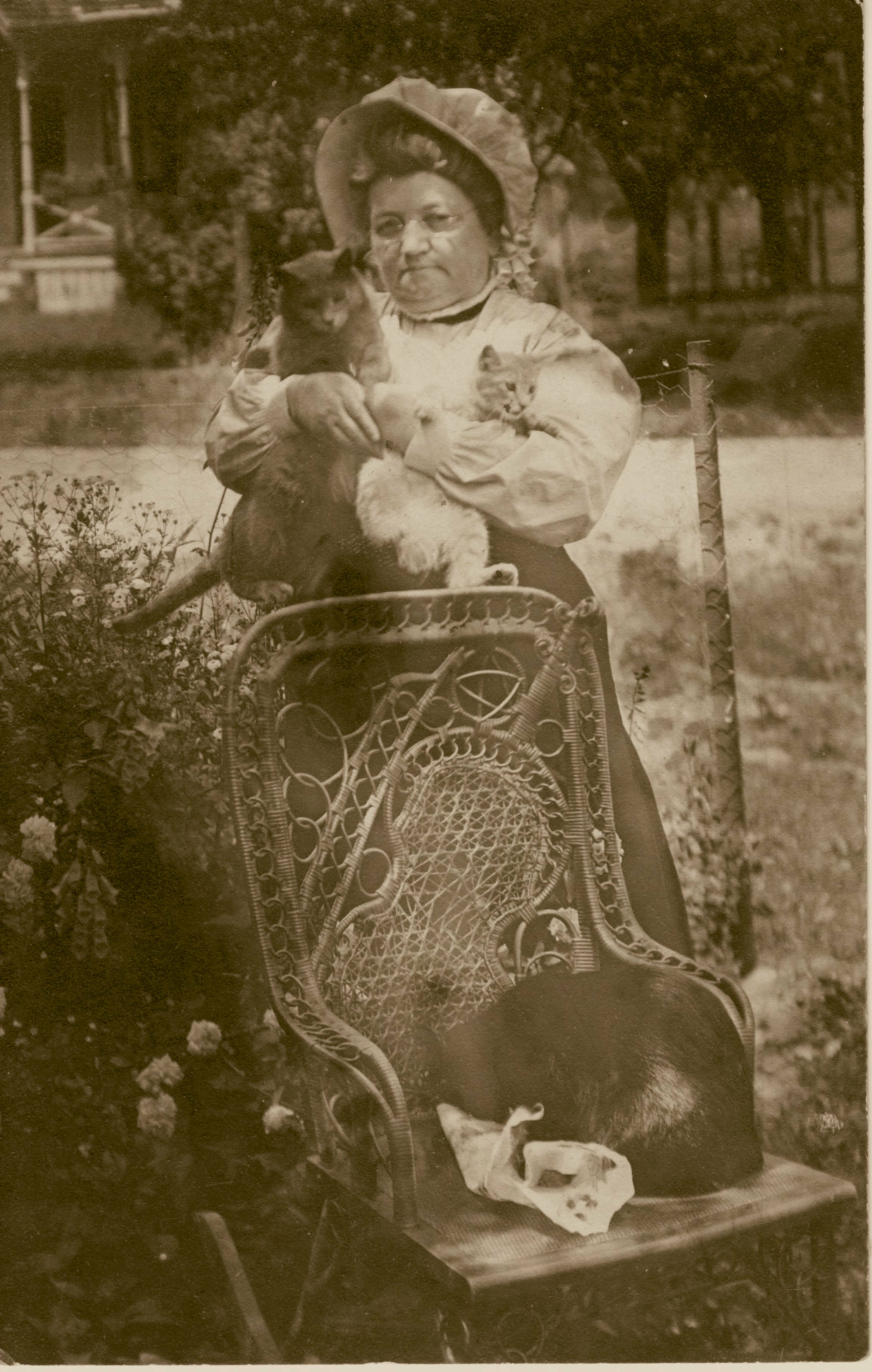 Recent event No 6732