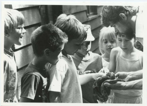 Recent event No 6732