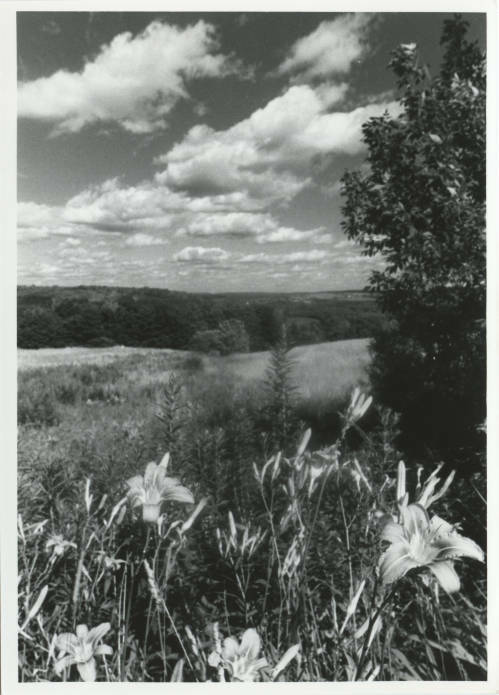 Recent event No 6732