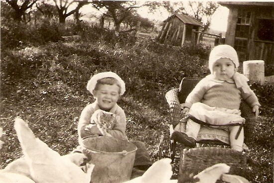 New Digital Collection: Tunison Farm Collection - /data/6a79d9b5350bd.jpg