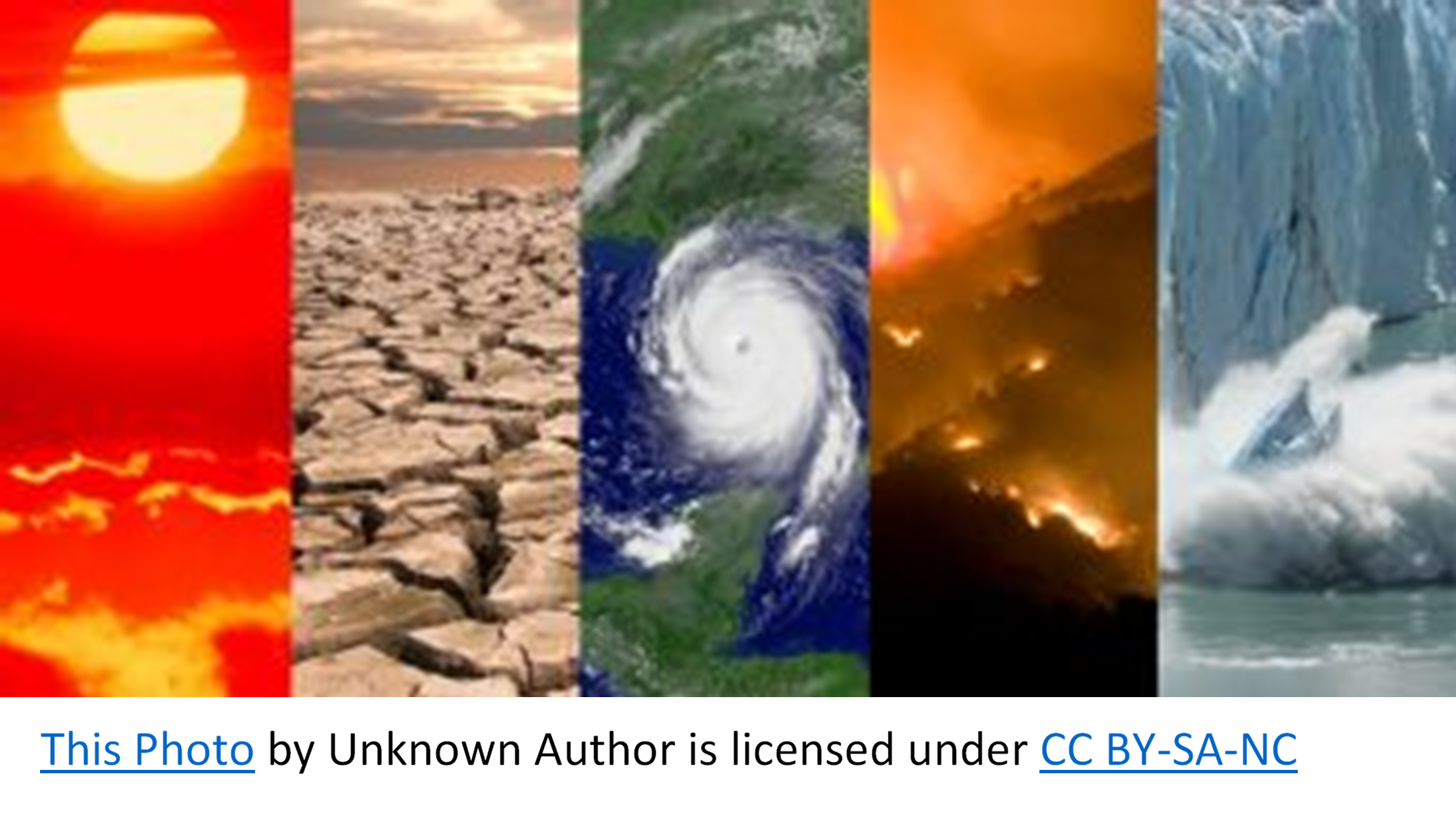 The Climate-Conscious Library: How Libraries Can Mitigate Climate Change and Save the World!  - /data/766073114.png