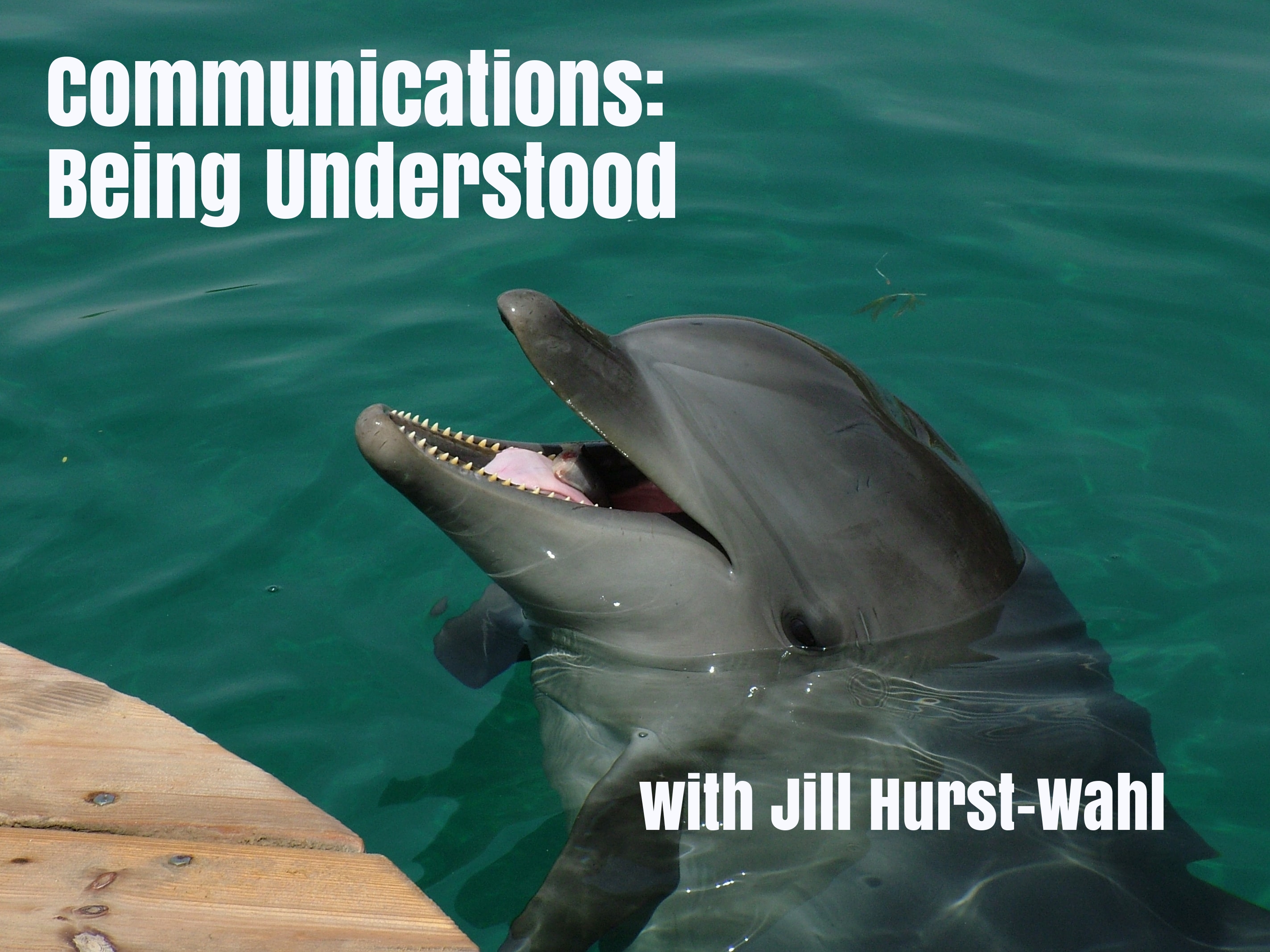 Communications: Being Understood - /data/787026942.jpg