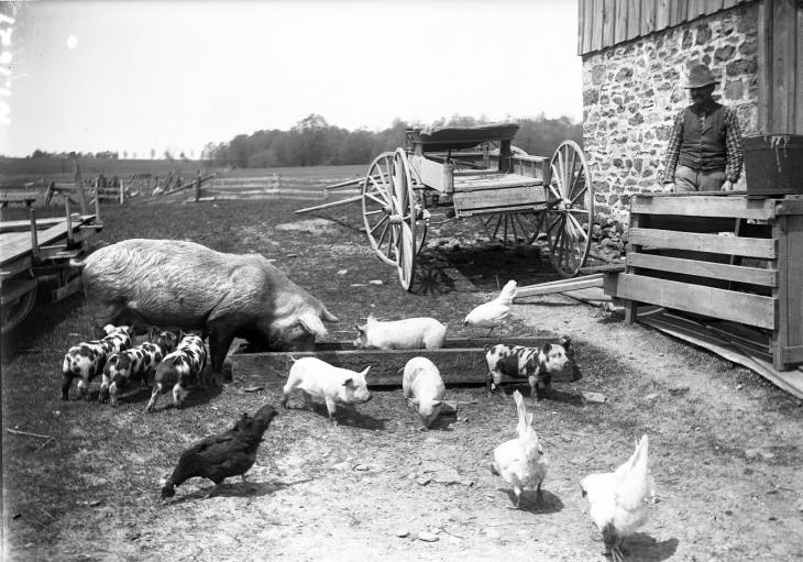 Recent event No 6732