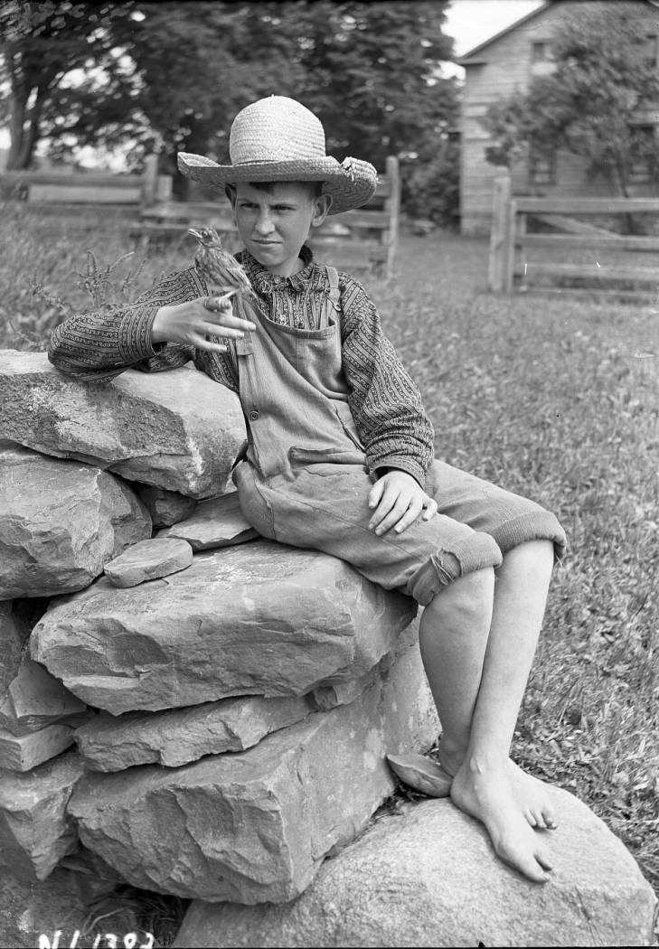 Recent event No 6732