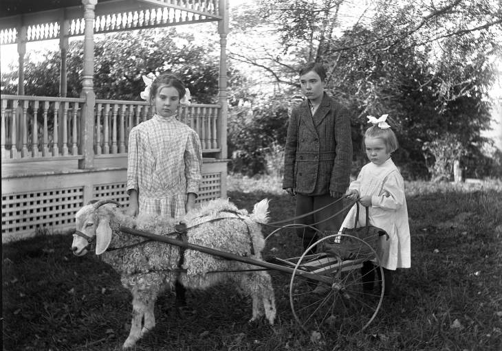 Recent event No 6732