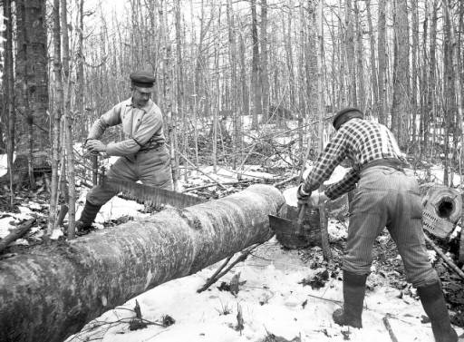 Recent event No 6732